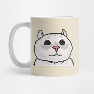 cat take a selfie Mug